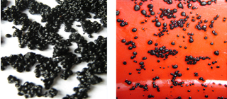 6731������Ϸ(�й���)-�ٷ���վ